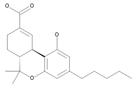 T-018 CE